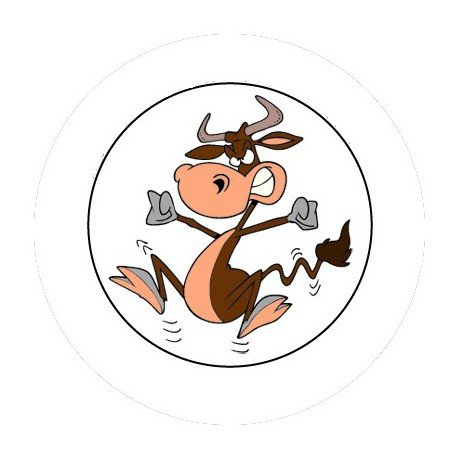 BADGESAGOGO.FR - Badge 25mm Toro loco