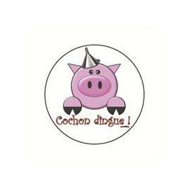 Magnet cochon dingue 25 mm