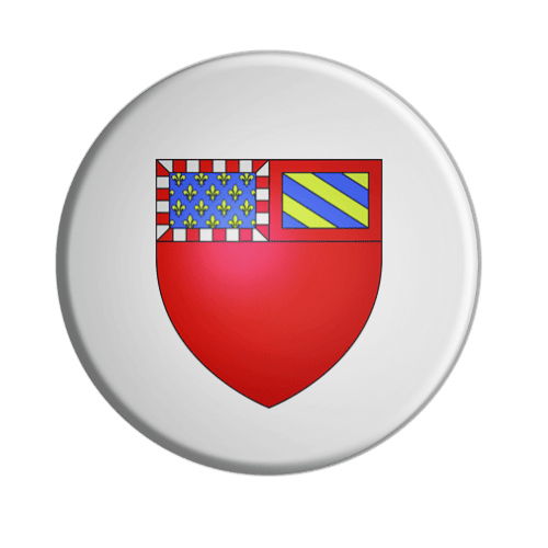 BADGESAGOGO.FR - Badge DIJON
