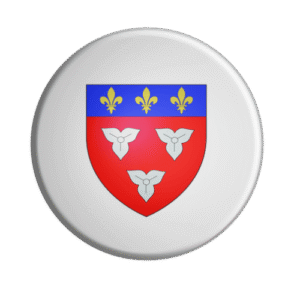 BADGESAGOGO.FR - Badge ORLEANS