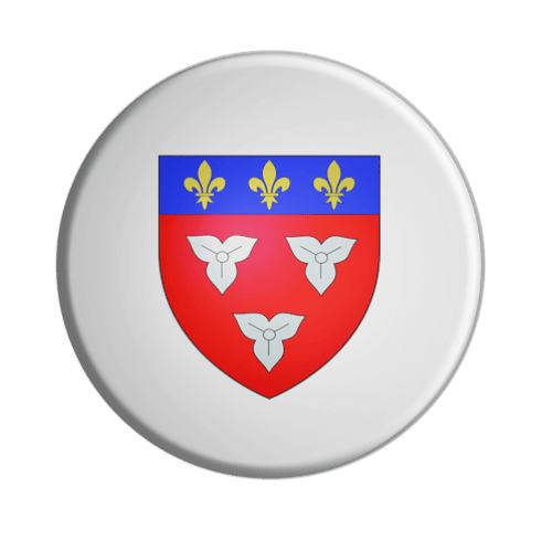 BADGESAGOGO.FR - Badge ORLEANS