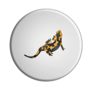 BADGESAGOGO.FR - Badge Salamandre