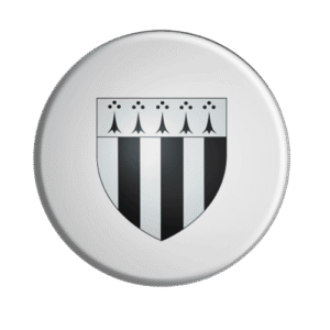 BADGESAGOGO.FR - Rennes