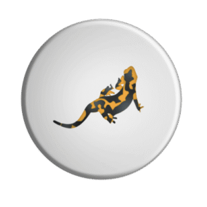 BADGESAGOGO.FR - Badge Salamandre
